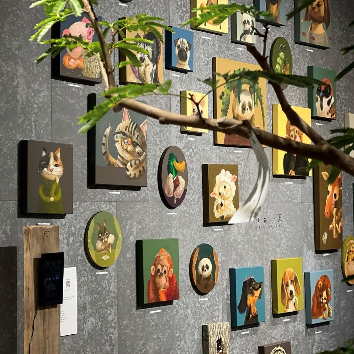 原田章生 個展