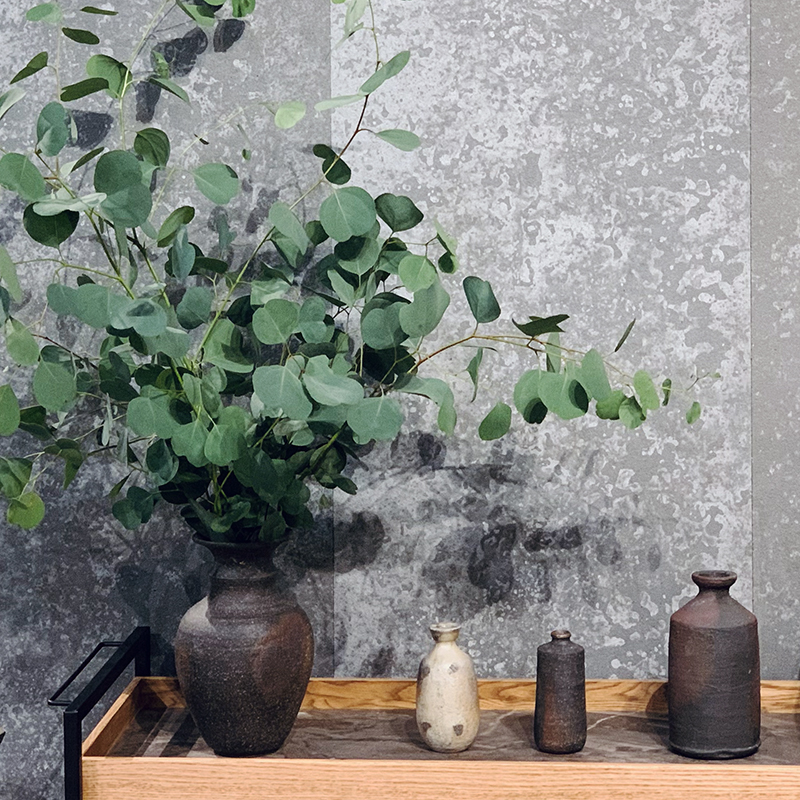 渡辺信史 陶展