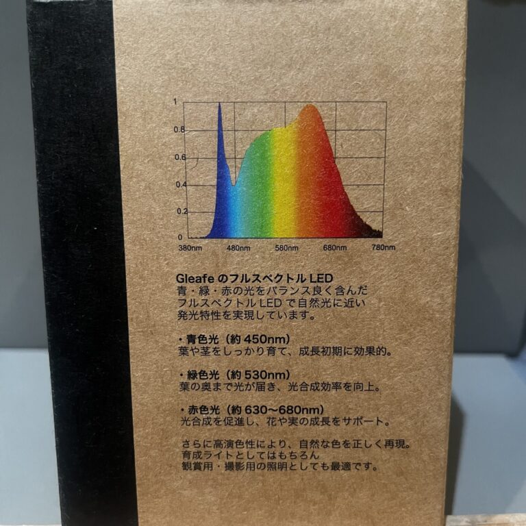 20251206